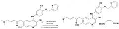 Малеатные соли (е)-n-{ 4-[3-хлор-4-(2-пиридинилметокси)анилино]-3-циано-7-этокси-6-хинолинил} -4-(диметиламино)-2-бутенамида и их кристаллические формы (патент 2621719)
