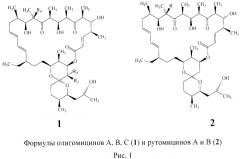 Способ модификации макролидного антибиотика олигомицина а с помощью реакции [3+2]-диполярного циклопресоединения азида и алкинов. 33-дезокис-33-(триазол-1-ил)-олигомицины а и их биологическая активность (патент 2523284)