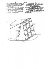 Устройство для защиты ядра плотины от разрушения фильтрационным потоком (патент 988964)
