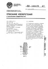 Капельница (патент 1355179)