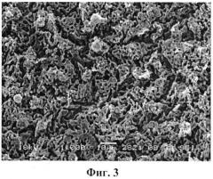 Способ приготовления скелетного катализатора гидродеоксигенации продуктов переработки растительной биомассы (патент 2534996)