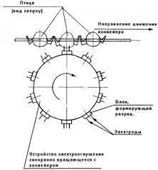 Способ электрооглушения птицы (патент 2307510)