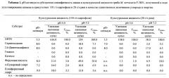 Способ получения лакказ гриба myrothecium verrucaria вкм f-3851, трансформирующие фенольные соединения в нейтрально - щелочных условиях среды (патент 2663342)