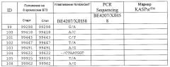 Ген-восстановитель rf4 для цитоплазматической мужской стерильности (cms) c-типа кукурузы, молекулярные маркеры и их применение (патент 2603005)