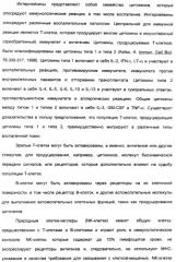 Выделенный полипептид, связывающий рецептор zalpha11-лиганда (варианты), кодирующий его полинуклеотид (варианты), вектор экспрессии (варианты) и клетка-хозяин (варианты) (патент 2346951)