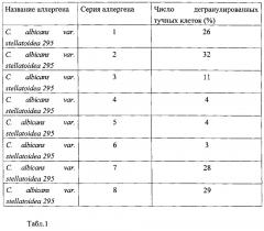 Штамм candida albicans var. stellatoidea для получения диагностического аллергена (патент 2601123)