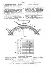 Крепь шахтного ствола (патент 989074)