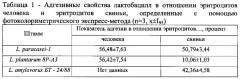 Штамм бактерий lactobacillus paracasei 1, используемый для приготовления пробиотического препарата (патент 2608871)