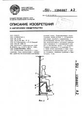 Поддерживающая опора (патент 1384467)