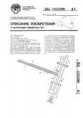 Устройство для подачи длинномерных прутков в рабочую зону обрабатывающей машины (патент 1235596)