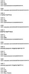 Днк, белки, экспрессирующие векторы и иммуногенные, вакцинные и стимулирующие композиции, содержащие gm-csf лошади (патент 2279476)