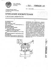 Декоративное осветительное устройство (патент 1585620)