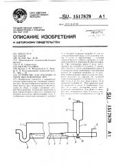 Устройство для откладки и сбора яиц комнатных мух (патент 1517879)