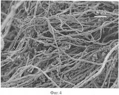 Сорбционно-бактерицидный материал, способ его получения, способ фильтрования жидких или газообразных сред, медицинский сорбент (патент 2426557)