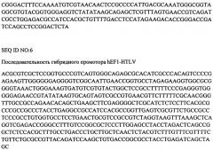 Рекомбинантная плазмидная днк, кодирующая химерное антитело против фактора некроза опухоли-альфа человека, линия экуариотических клеток-продуцент химерного антитела и способ получения химерного антитела (патент 2555533)
