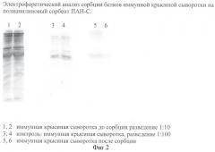 Полианилин в качестве сорбентов для удаления вирусов, белков невирусной природы и в качестве основы иммуносорбентов, способ удаления или фиксации вирусов с помощью этих сорбентов, способ иммуносорбции с помощью этих сорбентов, способ сорбции с помощью этих сорбентов (патент 2372951)