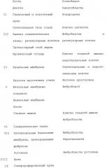 Средство для изменения скорости роста или репродукции клеток, способ его получения, способ стимуляции заживления ран или лечения ожогов, способ коррекции косметического дефекта, способ ингибирования старения кожи и способ стимуляции роста волос (патент 2280459)