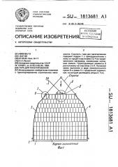Тара для пакетирования (патент 1813681)