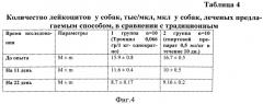 Способ лечения собак при бабезиозе и получения препарата из личинок трутней пчел и сока свеклы для их лечения (патент 2545891)