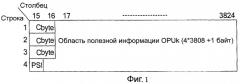 Способ и устройства передачи клиентских сигналов в оптической транспортной сети (патент 2421925)