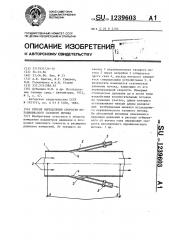 Способ определения скорости неравновесного газового потока (патент 1239603)