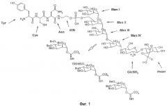 Белок плазматический мембраны адипоцита, способ его получения и комплекс для запуска tyr-фосфорилирования инсулинрецепторных субстратных белков irs-1 и irs-2 (патент 2325399)