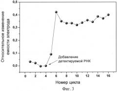 Способ детекции специфических последовательностей нуклеиновых кислот (варианты) и устройство для его осуществления (патент 2509157)