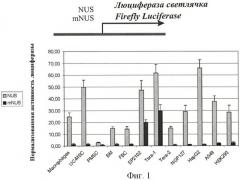 Средство для генной терапии злокачественных опухолей (патент 2447150)