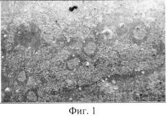 Способ изготовления реплик для исследования микростроения мерзлых пород в растровом электронном микроскопе (патент 2528256)