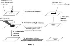 Способ получения удаляемых водонерастворимых ионообменных покрытий на малди мишенях и их применение для масс-спектрометрического анализа (патент 2475543)