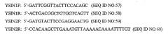 Микрочастицы для доставки гетерологичных нуклеиновых кислот (патент 2295954)