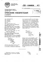 Способ получения производных бербана или их солей (патент 1508958)