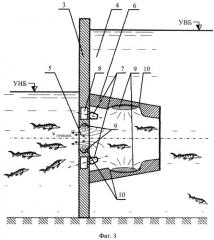 Рыбоход для привлечения и пропуска рыбы из нижнего бьефа гидроузла в верхний бьеф (патент 2337209)