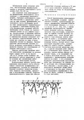 Способ формирования виноградного куста (патент 1355174)