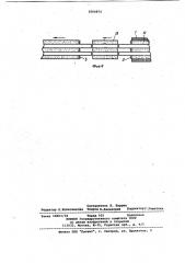 Устройство для нанесения изоляции на наружную поверхность труб (патент 1060874)