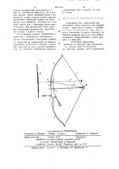 Спортивный лук (патент 907387)