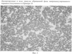 Обращенно-фазовые микрокапсулы для активных ингредиентов, упрощенный способ их получения и комбинированные составы wdg-cs, zc, ec-sc и cx (патент 2440378)