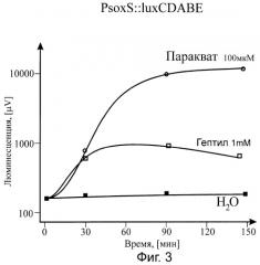 Набор lux-биосенсоров для определения гептила в среде (патент 2297450)