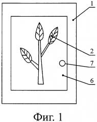 Гербарий (патент 2642330)