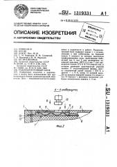 Радиоэлектронный блок (патент 1319331)