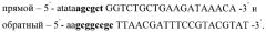 Рекомбинантная плазмида для экспрессии в дрожжах pichia pastoris гена фосфолипазы, штамм дрожжей pichia pastoris - продуцент фосфолипазы (патент 2409671)