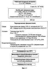 Ферментационный способ получения дифтерийного токсина (патент 2394914)