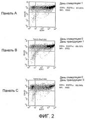 Способы стабильной трансдукции клеток вирусными векторами (патент 2280074)
