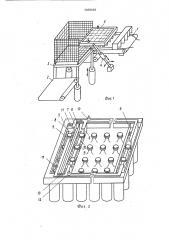 Устройство для укладки и извлечения бутылок из тары (патент 1406036)