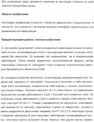 Иммунизация против менингококков серогруппы y с помощью белков (патент 2378009)