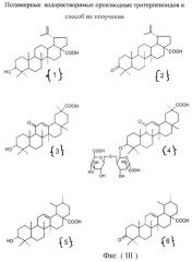 Полимерные водорастворимые производные тритерпеноидов и способ их получения (патент 2253657)