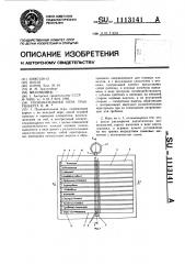 Познавательная игра трахтенберга и.м. (патент 1113141)