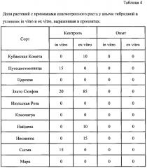 Способ клонального микроразмножения алычи in vitro (патент 2652953)