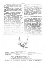 Устройство для выделения семян из плодов (патент 1405783)