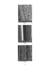 Электрохимический способ получения сложных гибридных каталитических систем на основе модифицированного углерода, содержащих на поверхности оксидные вольфрамовые бронзы (патент 2579119)